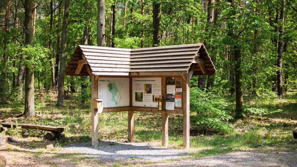 Bilder FriedWald Nuthetal-Parforceheide