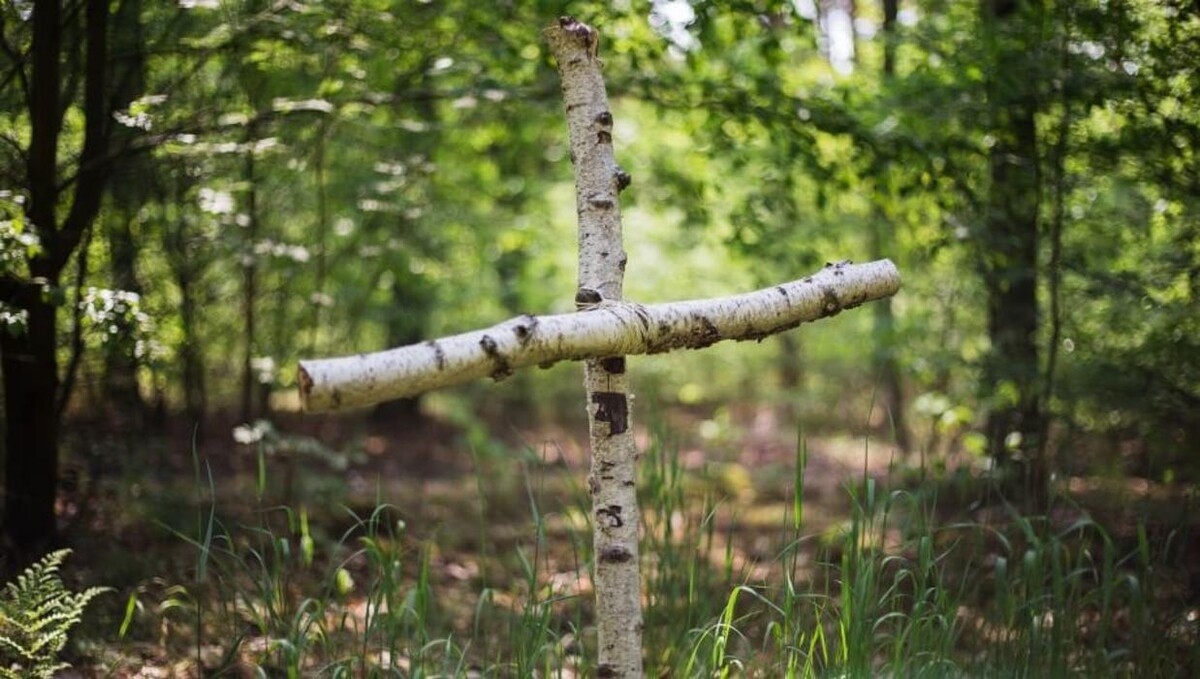 Bilder FriedWald Nuthetal-Parforceheide