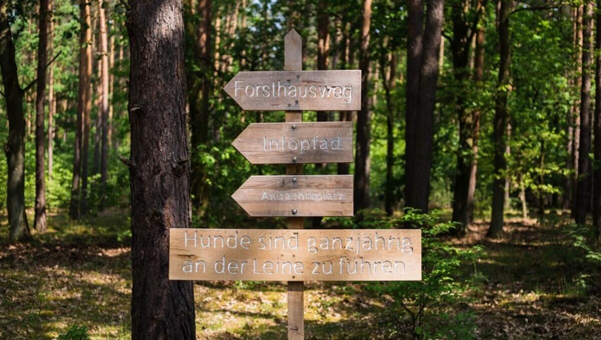 Bilder FriedWald Nuthetal-Parforceheide