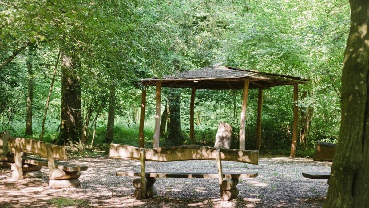 Bilder FriedWald Rheinau