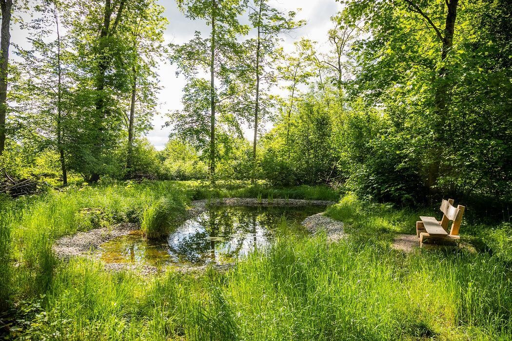 Bilder FriedWald Rheinau