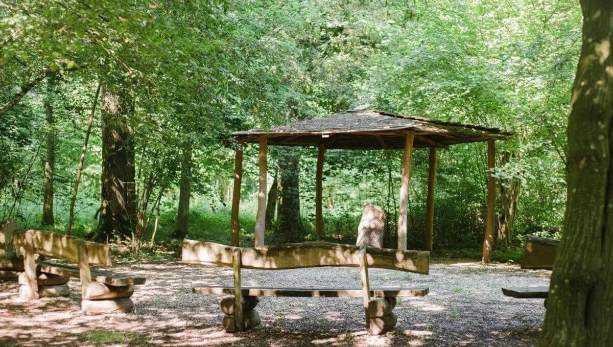 Bilder FriedWald Rheinau