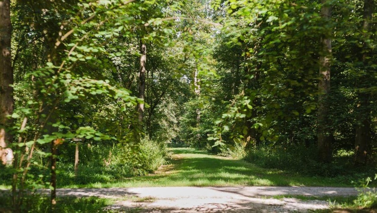 Bilder FriedWald Rheinau