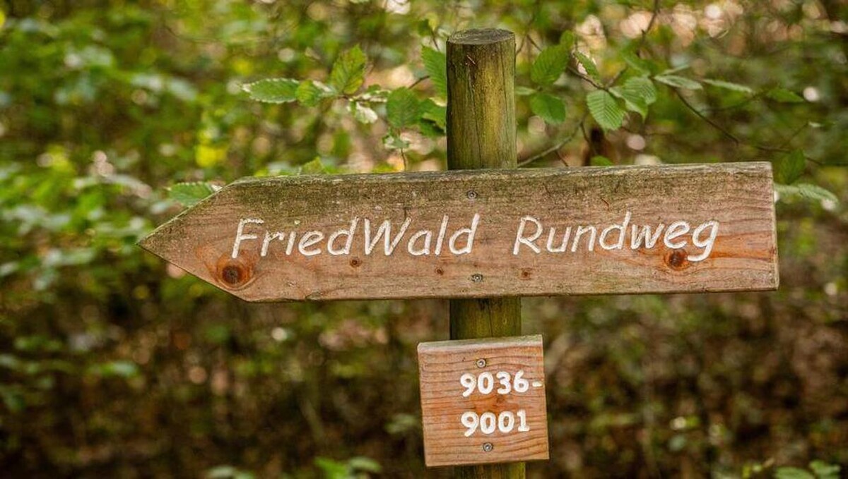 Bilder FriedWald Meßkirch