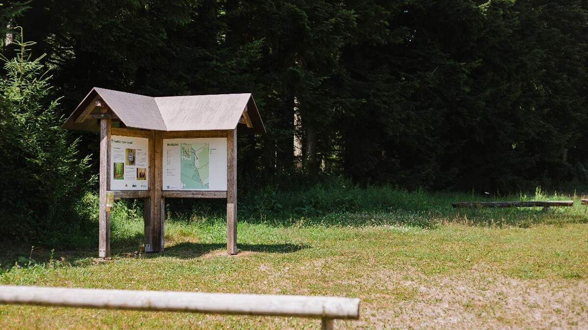 Bilder FriedWald Schenkenzell
