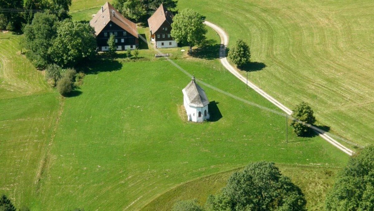 Bilder FriedWald Schenkenzell