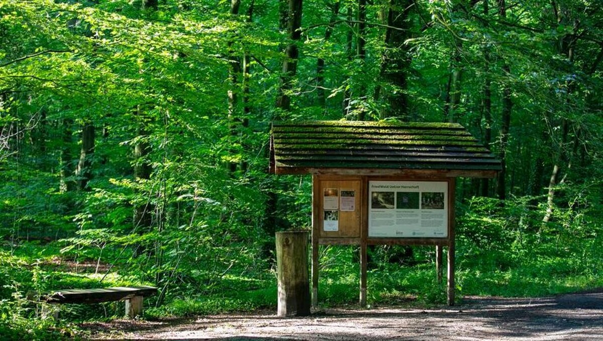 Bilder FriedWald Uetzer Herrschaft