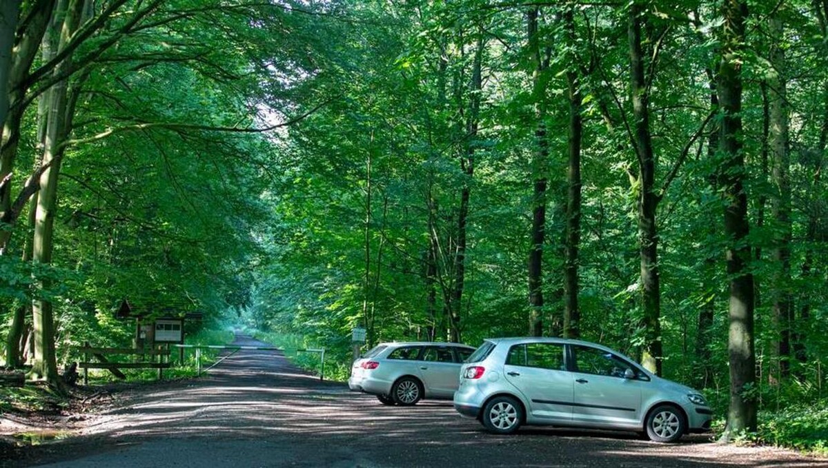 Bilder FriedWald Uetzer Herrschaft
