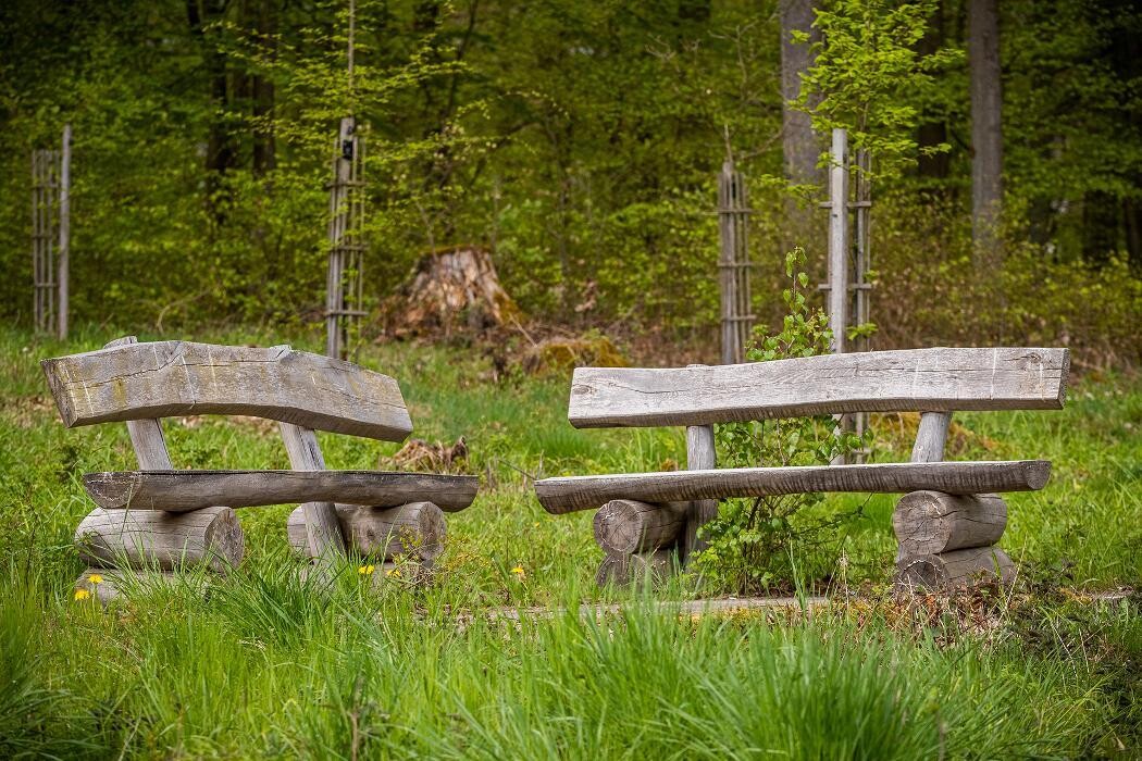 Bilder FriedWald Weilrod