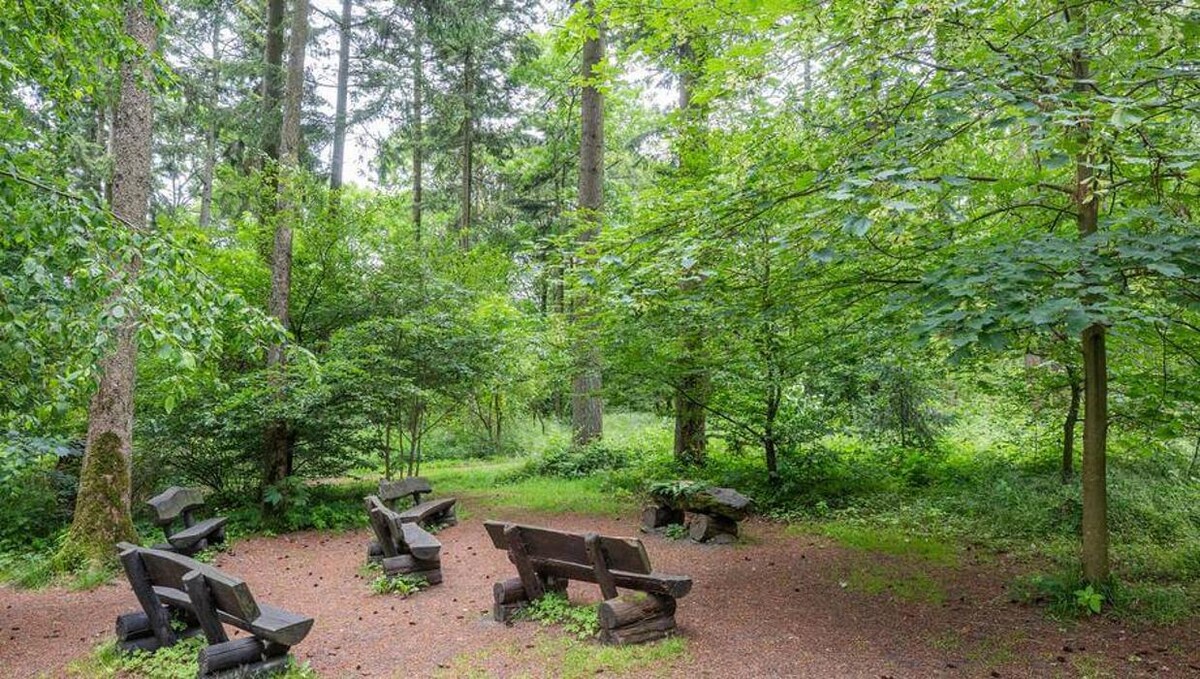 Bilder FriedWald Weilrod