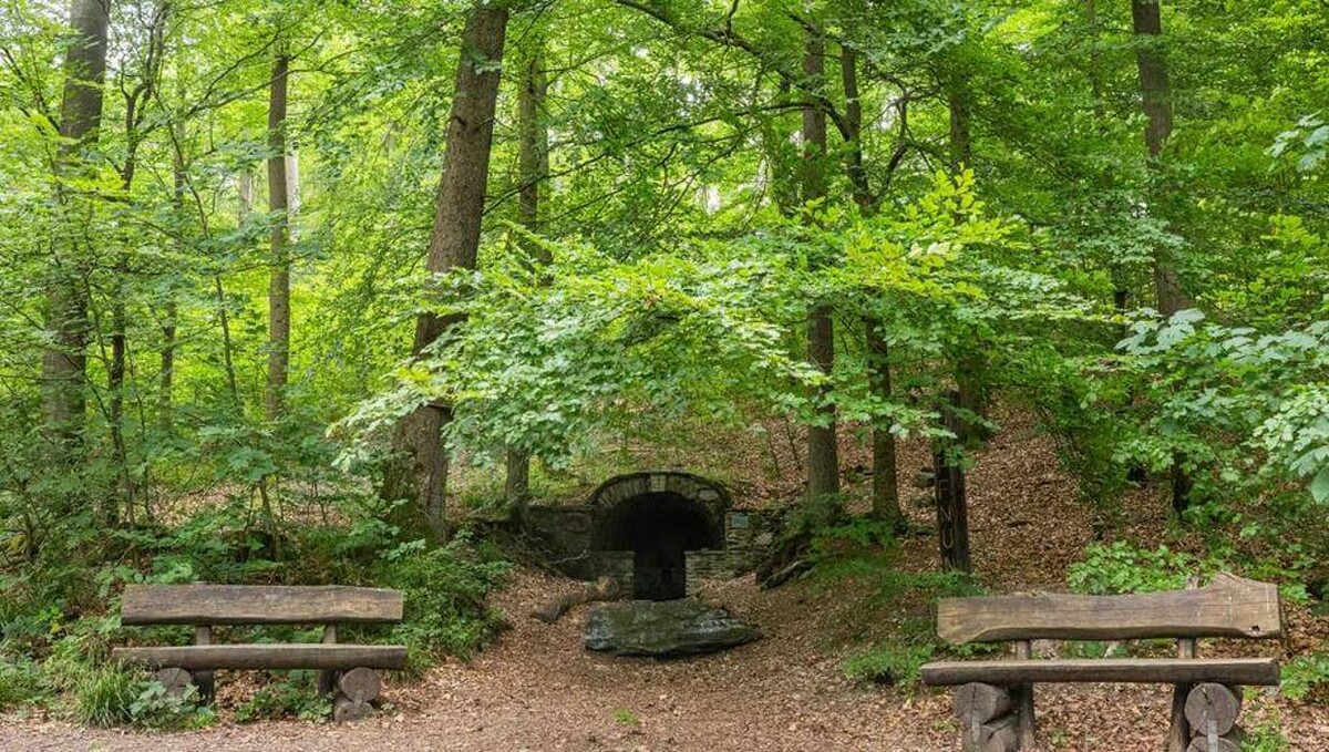 Bilder FriedWald Weilrod