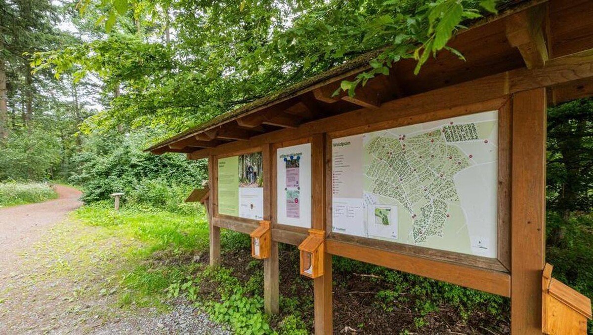 Bilder FriedWald Weilrod