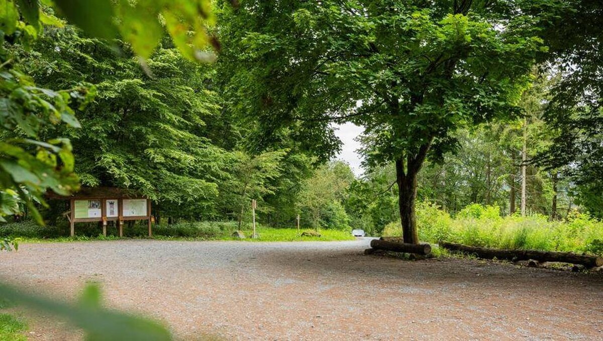 Bilder FriedWald Weilrod