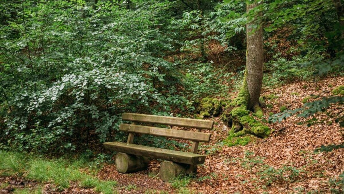 Bilder FriedWald Weilrod