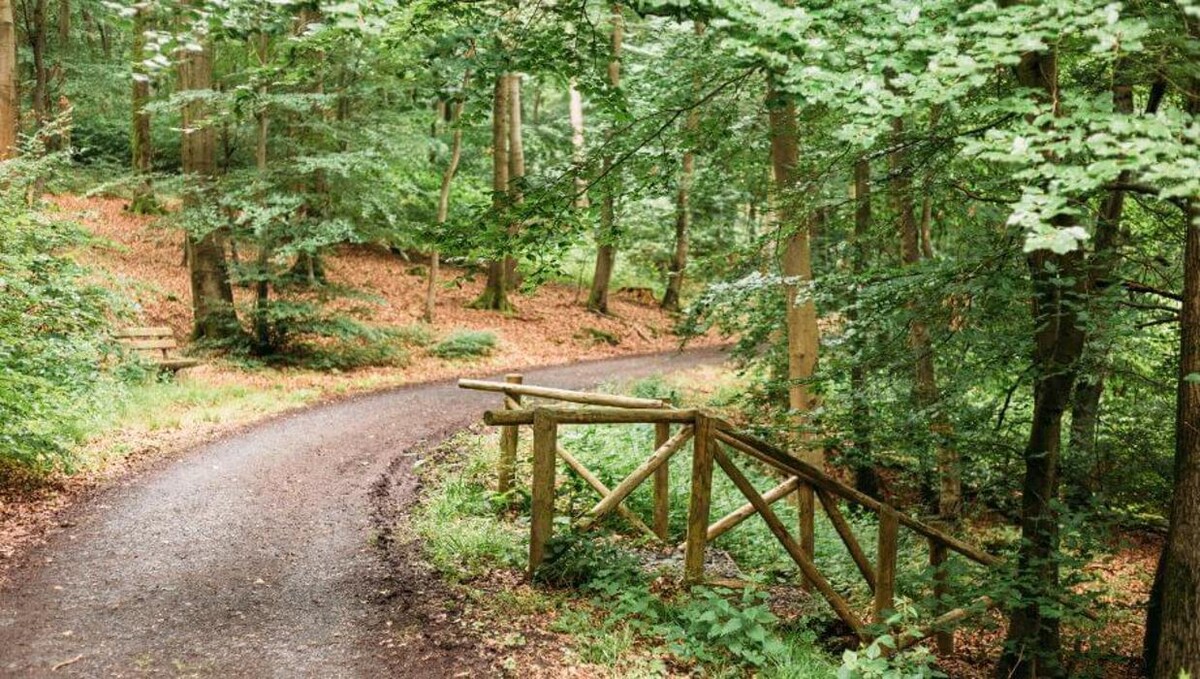 Bilder FriedWald Weilrod