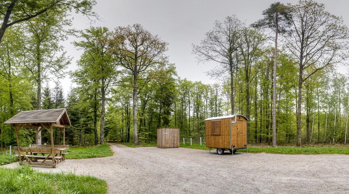 Bilder FriedWald Hohenlohe