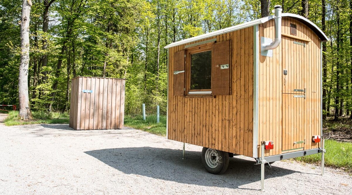 Bilder FriedWald Hohenlohe