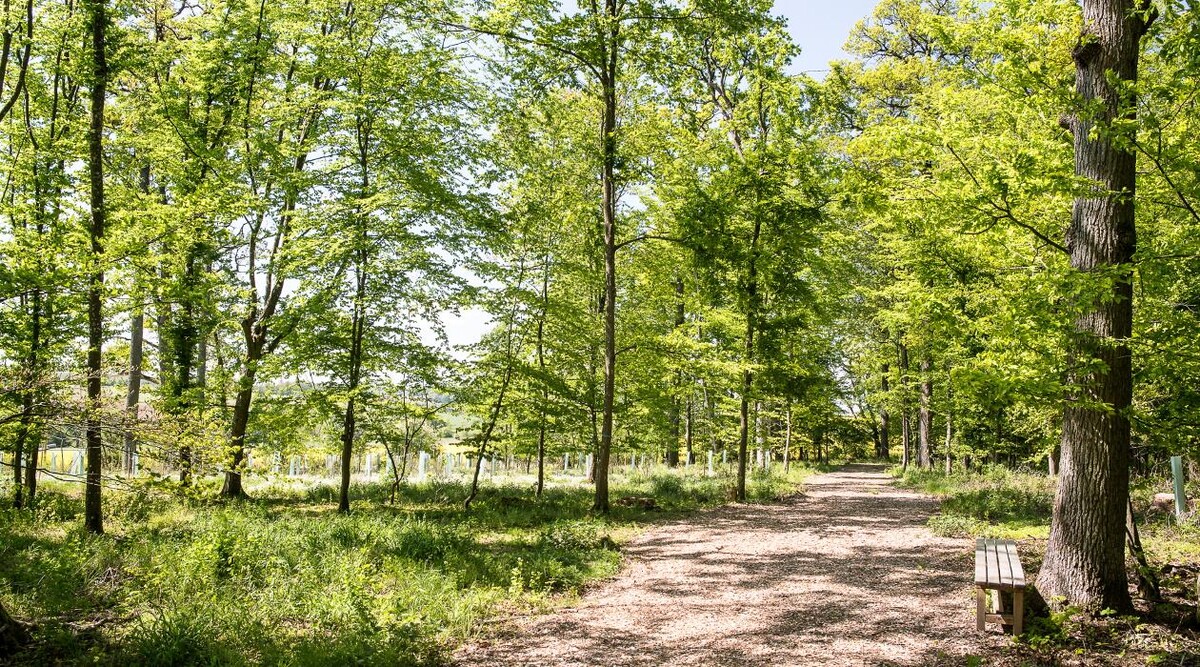 Bilder FriedWald Hohenlohe