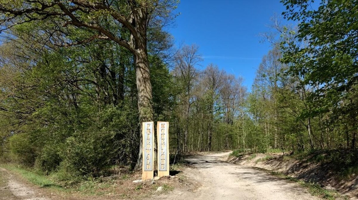 Bilder FriedWald Hohenlohe