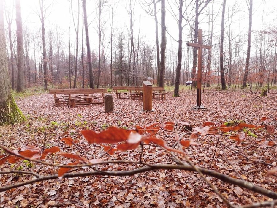 Bilder FriedWald Hohenlohe