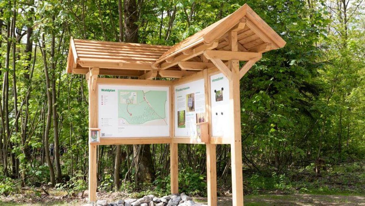 Bilder FriedWald Hohenlohe