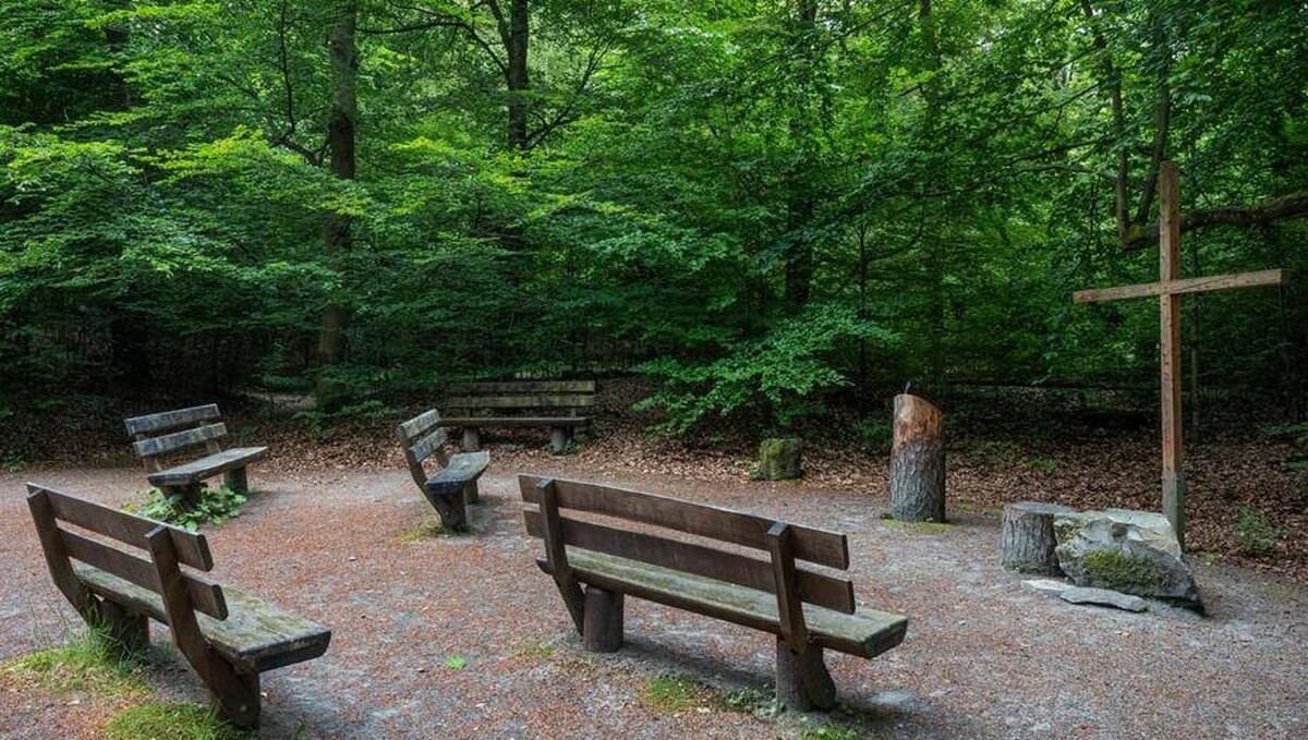 Bilder FriedWald Hirschwiese in Taunusstein