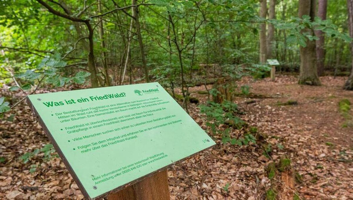 Bilder FriedWald Hirschwiese in Taunusstein