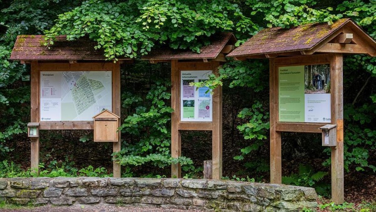 Bilder FriedWald Hirschwiese in Taunusstein