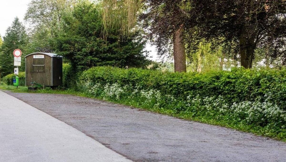 Bilder FriedWald Hirschwiese in Taunusstein