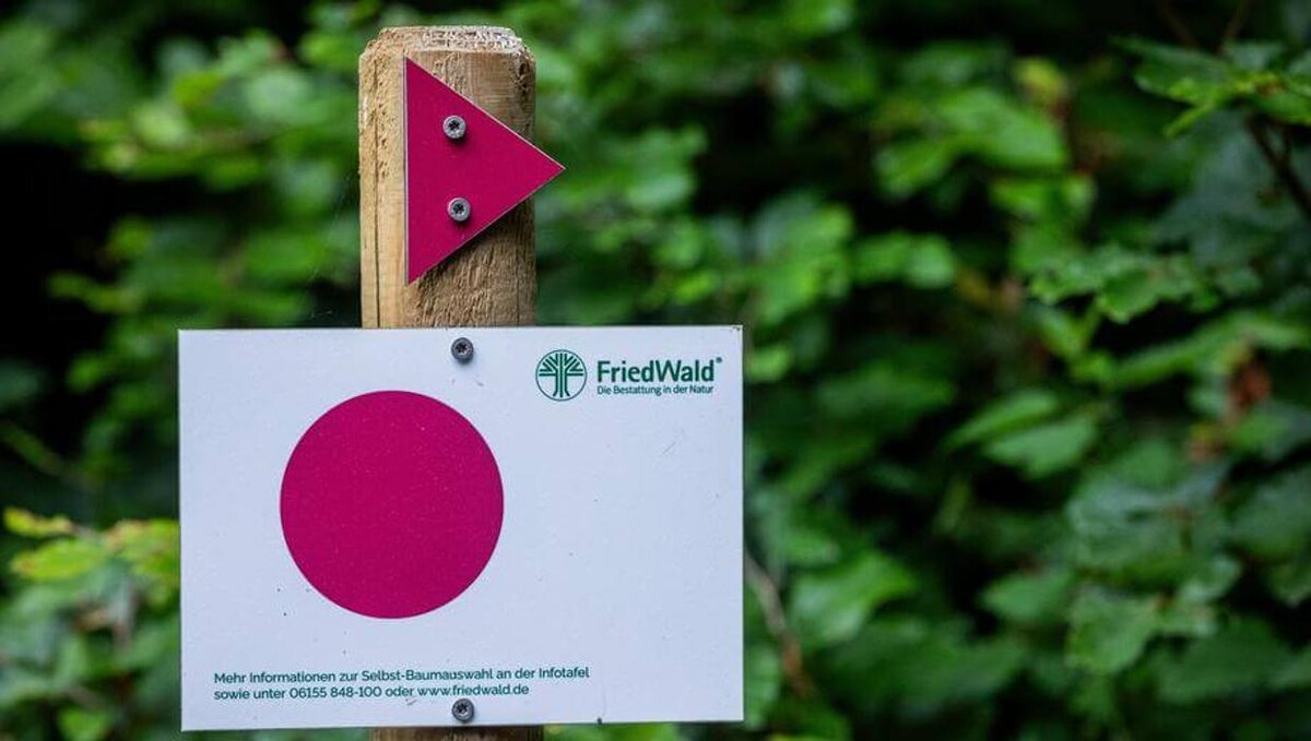 Bilder FriedWald Hirschwiese in Taunusstein