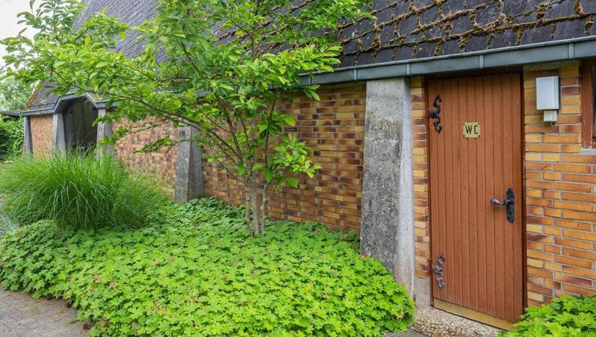 Bilder FriedWald Hirschwiese in Taunusstein