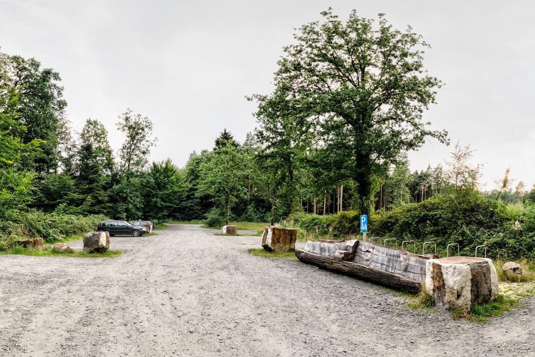 Bilder FriedWald Bramsche