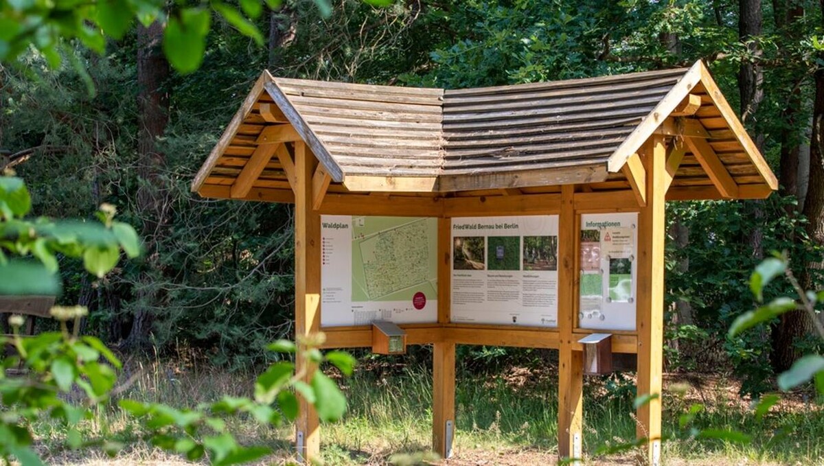 Bilder FriedWald Bernau bei Berlin