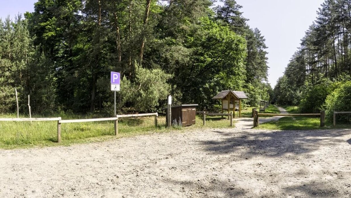 Bilder FriedWald Bernau bei Berlin