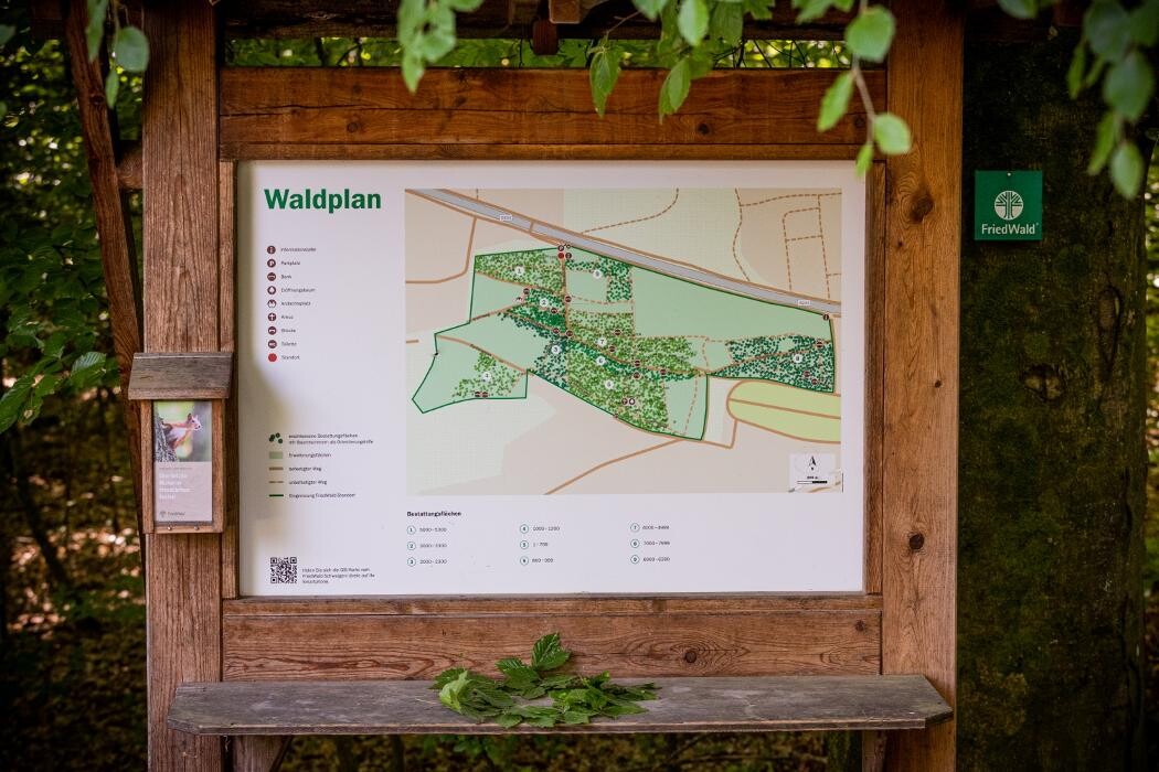 Bilder FriedWald Schwaigern