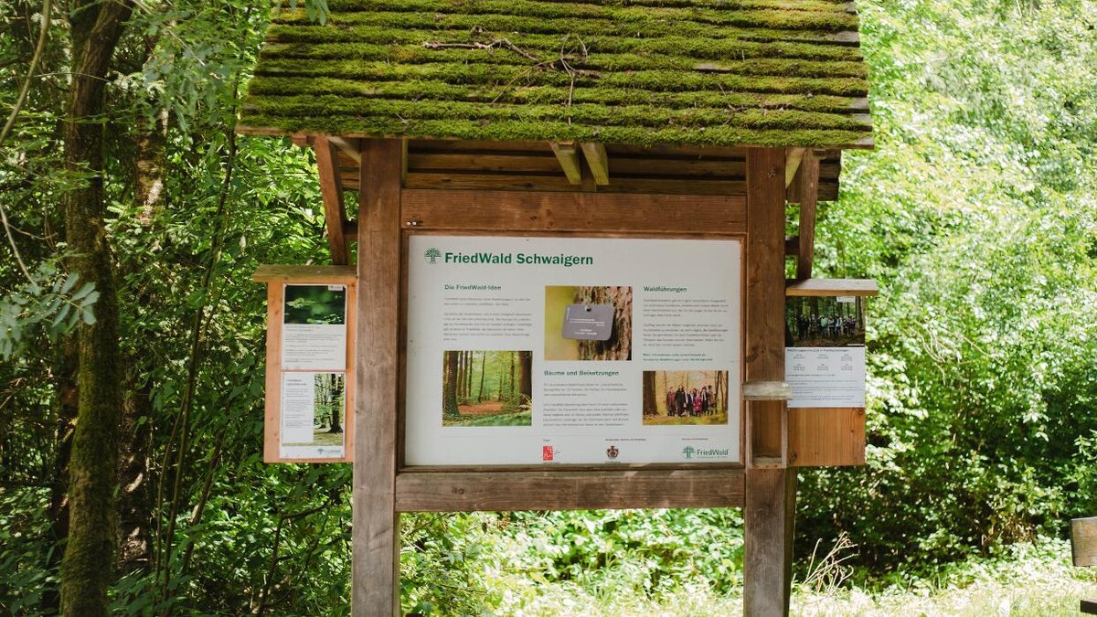 Bilder FriedWald Schwaigern