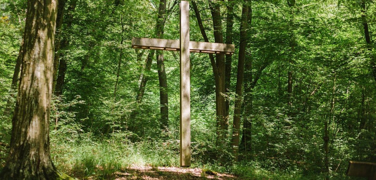Bilder FriedWald Schwaigern