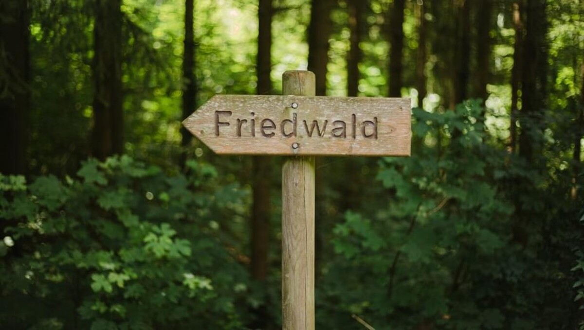Bilder FriedWald Schwaigern