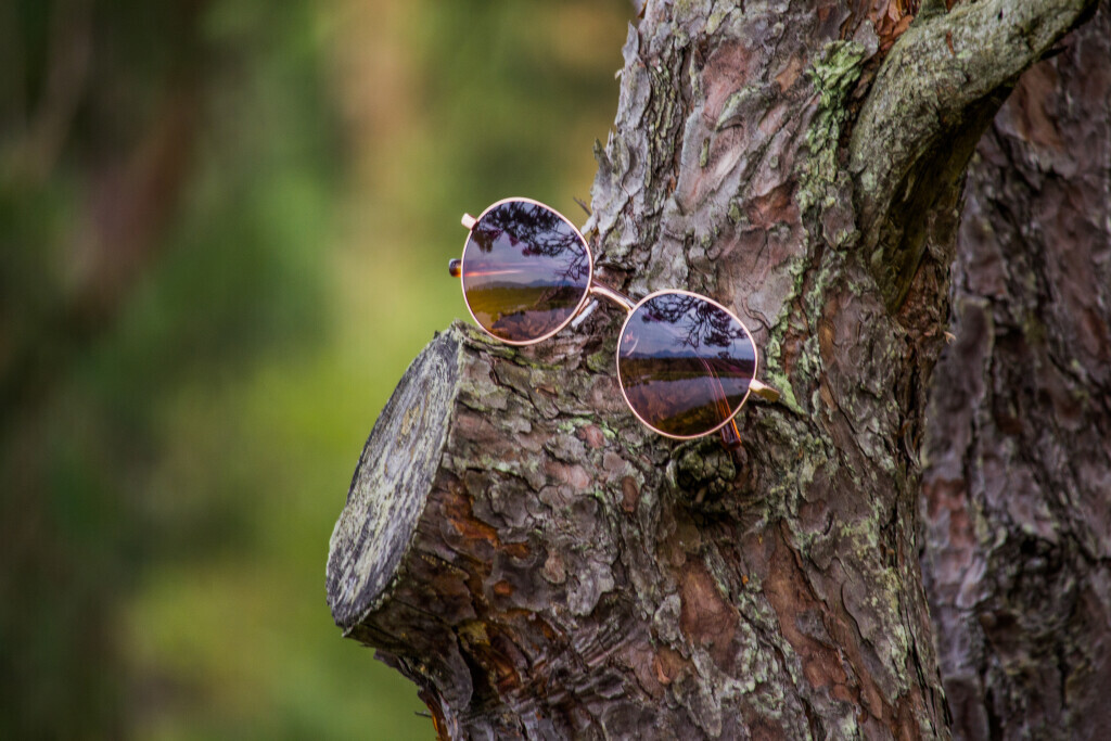 Bilder Straßer Optik