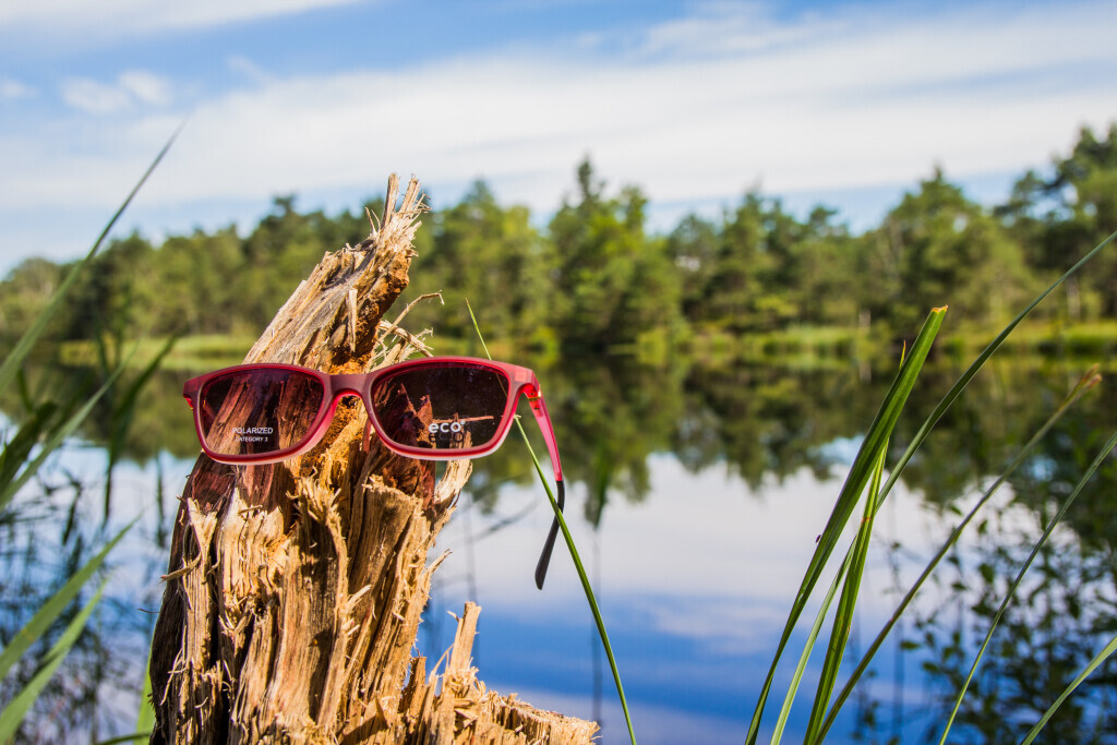 Bilder Straßer Optik