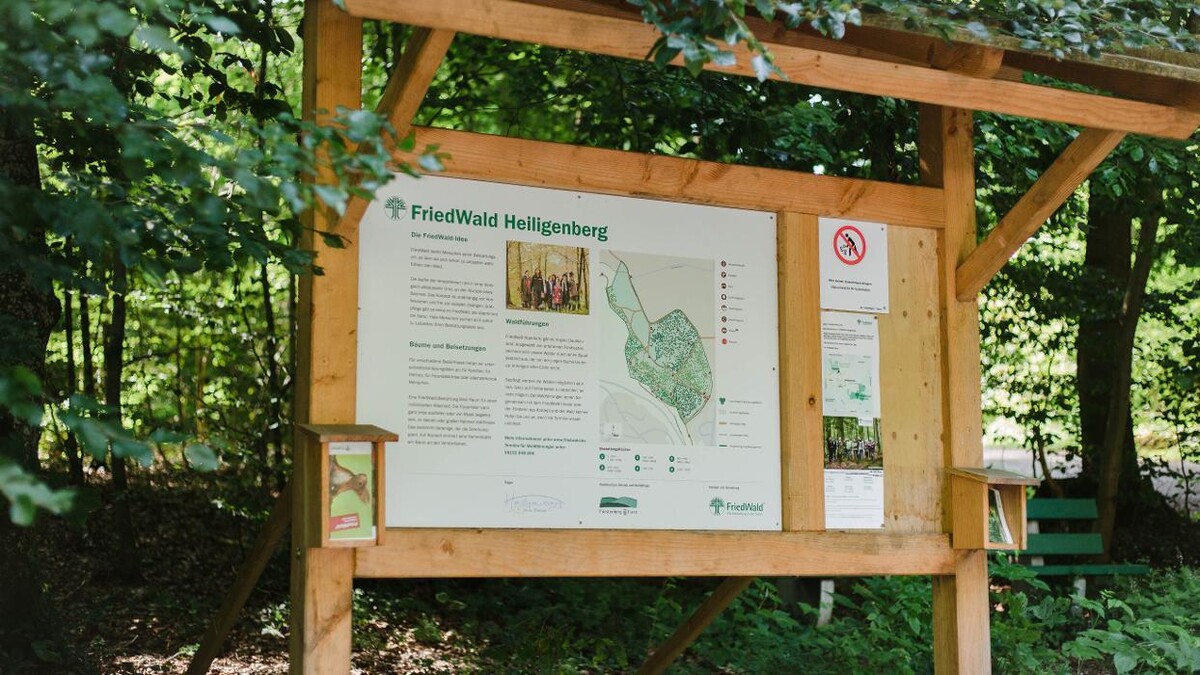 Bilder FriedWald Heiligenberg