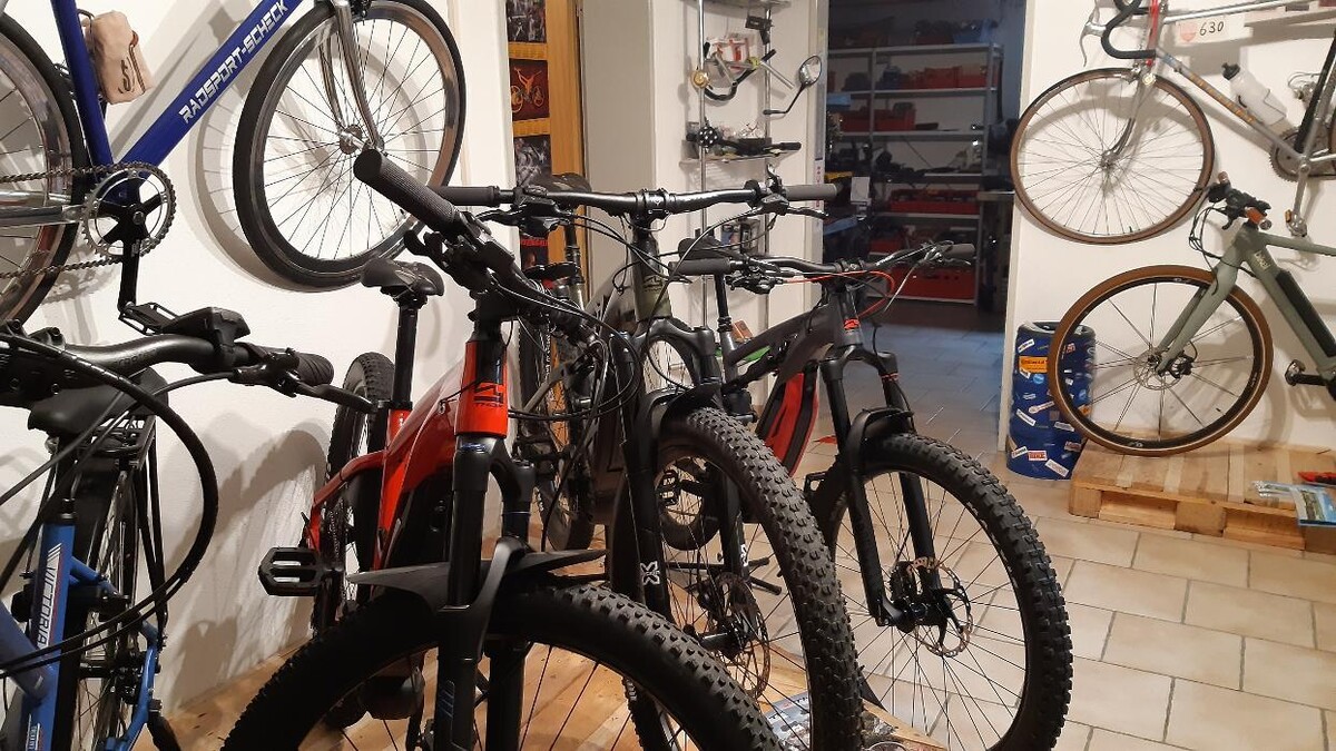Bilder Radsport Scheck