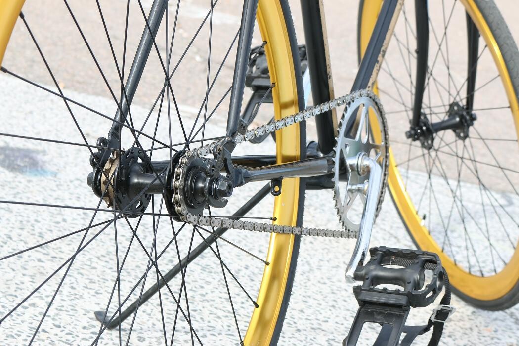 Bilder Radsport Scheck