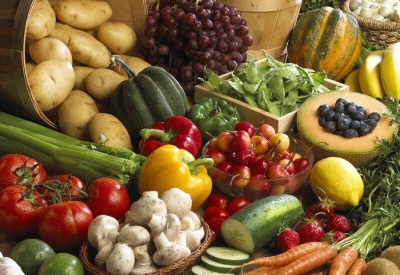 Bilder Carsten Berger Kartoffelhandel