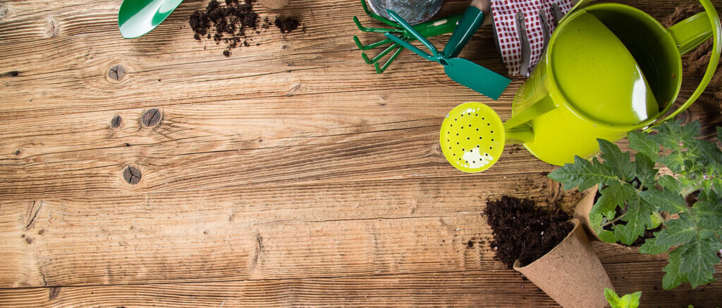 Bilder Koopstein GmbH