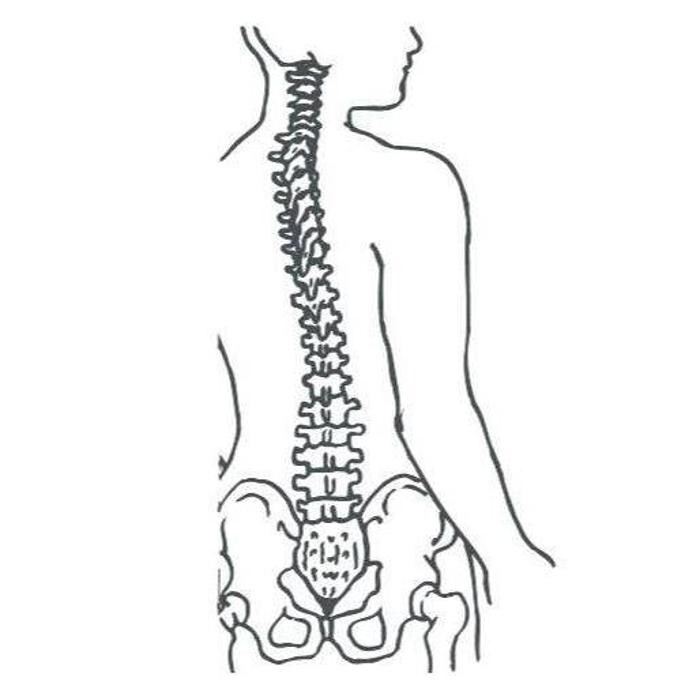 Bilder Eselsberg Physiotherapie