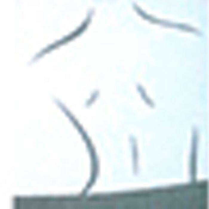 Susanne Polsak-Gusek Praxis für Physiotherapie und Osteopathie Logo