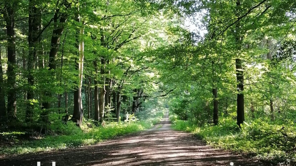 Bilder Hypnosepraxis am Sachsenwald