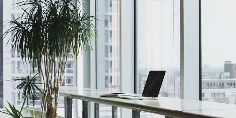 Bilder Renania Immobilien GmbH