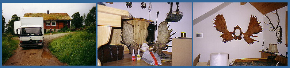 Bilder Umzüge  HORST